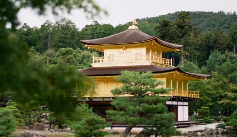 135126-013512610006-02rf