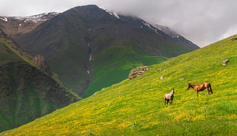 nina-slashchilina-W17aL-ipnO0-unsplash